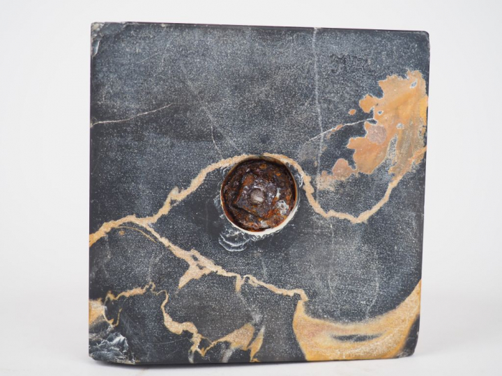 	F.H DANVIN « Oiseau perché » Sujet en bronze argenté et marbre portor