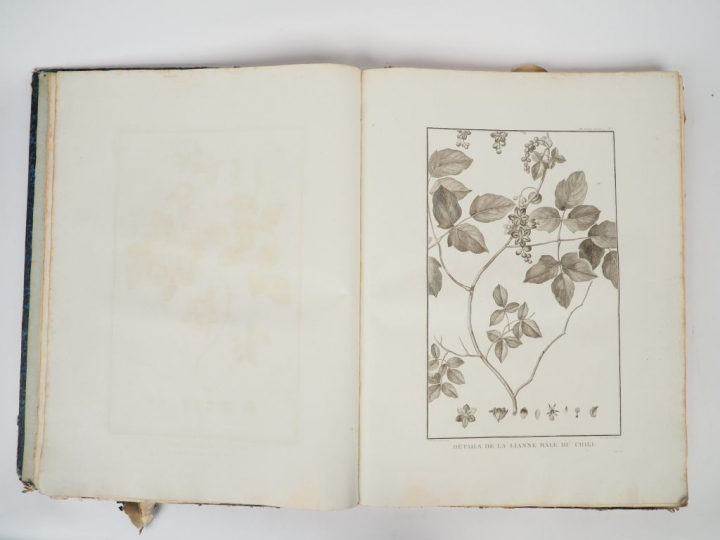 LA PEROUSE. (Jean-François Galande, Comte de). Atlas du voyage autour 