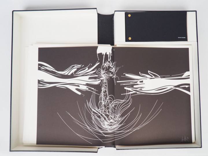 CHEMIN INITIATIQUE. Illustré de 14 lithographies de Raymond MORETTI, a