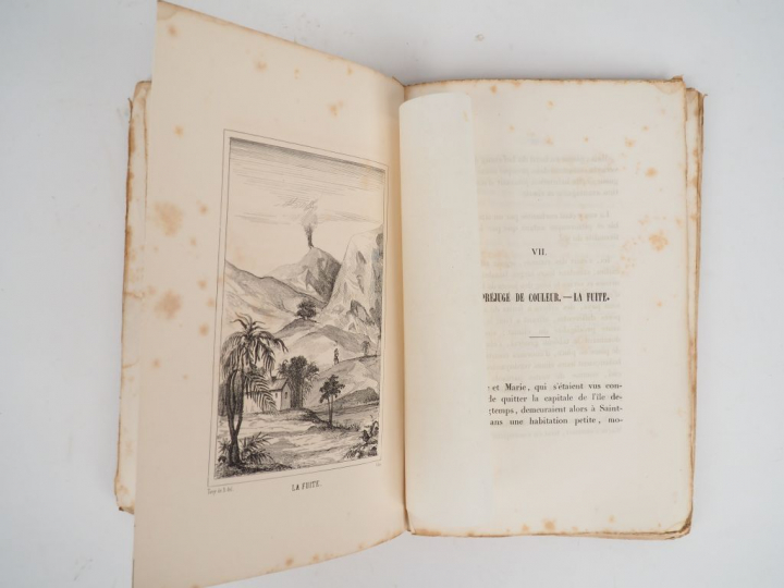 HOUAT (Louis-Timagène). Les Marrons. orné de 14 jolis dessins. Paris, 