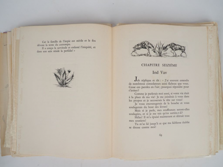 LE LIVRE DE JOB. Traduction originale de Daniel Renassia et Joseph Ben