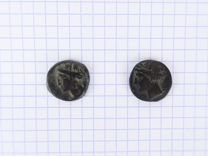 Lot de deux monnaies en bronze de Carthage. A/ Tête de Tanit, R/ Proto
