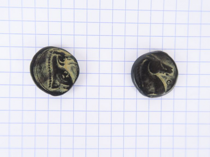 Lot de deux monnaies en bronze de Carthage. A/ Tête de Tanit, R/ Proto