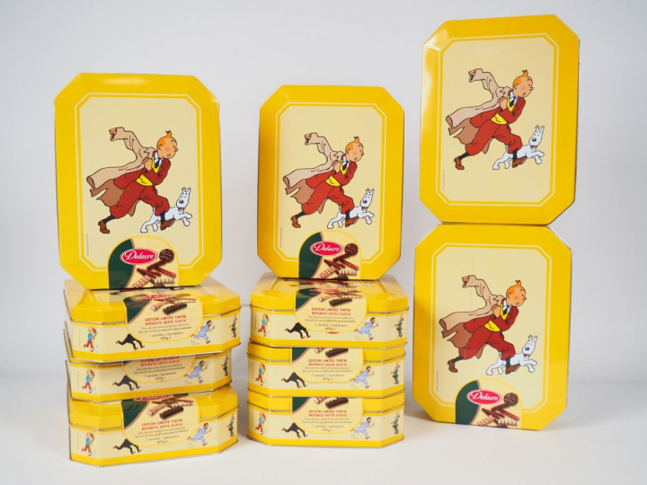 10 boites métal "Tintin court " 2002 DELACRE TBE dont une pleine