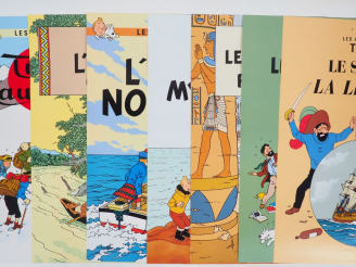 Vente aux enchères 21 AFFICHES couvertures d'albums différentes dont 9 numérotées NEUF