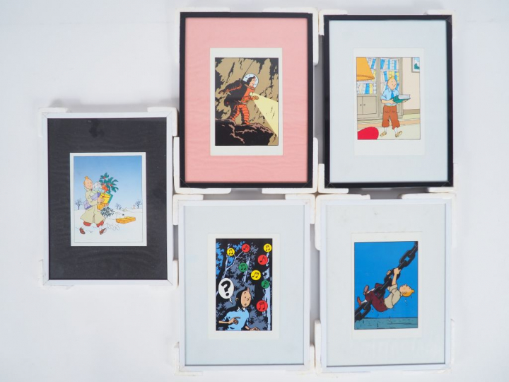 25 cadres avec cartes postales de collection diverses encadrées NEUF