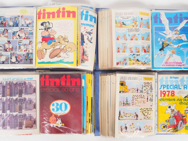 Fascicules de 1974 à 1981 - Ensemble de 8 années - (Année complète, 19