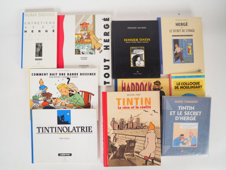 10 ouvrages sur Tintin (Le colloque de moulinsart (1983), Tintinolatri