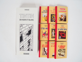 Vente aux enchères TINTIN "EN NOIR ET BLANC" COFFRET DES 9 MINI-ALBUMS édition 1986 TTBE