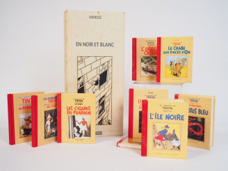 Vente aux enchères TINTIN "EN NOIR ET BLANC" COFFRET DES 9 MINI-ALBUMS édition 1986 BE/TB