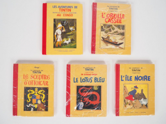 Vente aux enchères  5 Mini ALBUM TINTIN NOIR et BLANC NEUF 1986 (Au congo,l'oreille cassé