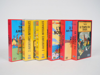 Vente aux enchères 6 Cassettes VHS CITEL (Temple,Crabe,ile noire,Affaire Tournesol,Picaro
