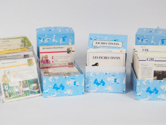Vente aux enchères Carton de fiches TINTIN ATLAS  avec boitier (+ de 1200 fiches)