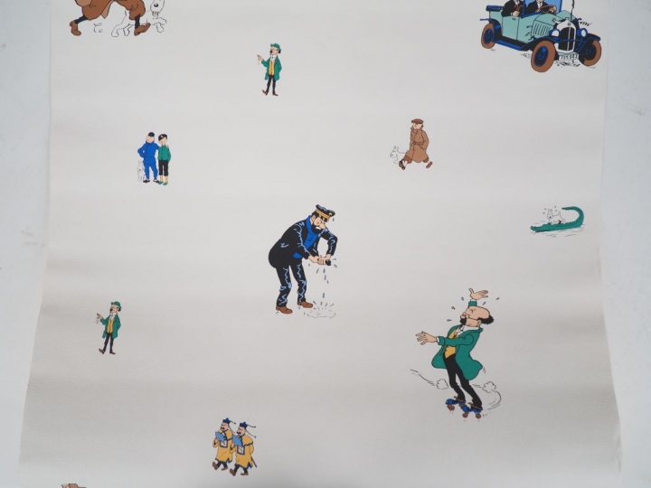 LOT de 10 rouleaux regroupant divers personnages TINTIN. Dim 10,05 m x