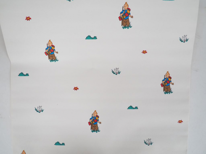 LOT de 6 rouleaux représentant les personnages Album "Le temple du Sol