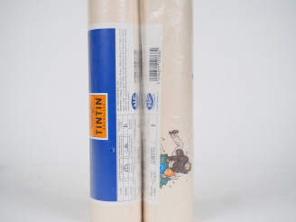 Vente aux enchères LOT de 10 rouleaux représentant les personnages Album "Les 7 boules de