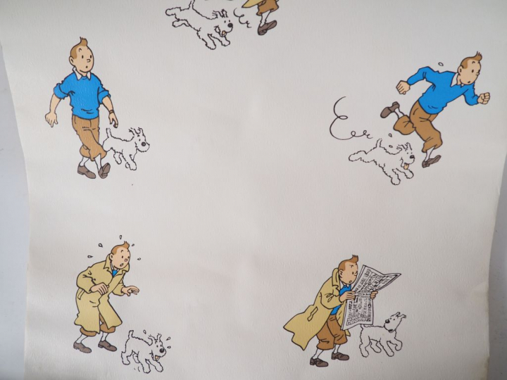 LOT de 5 rouleaux ANCIENS représentant les personnages d'Album  