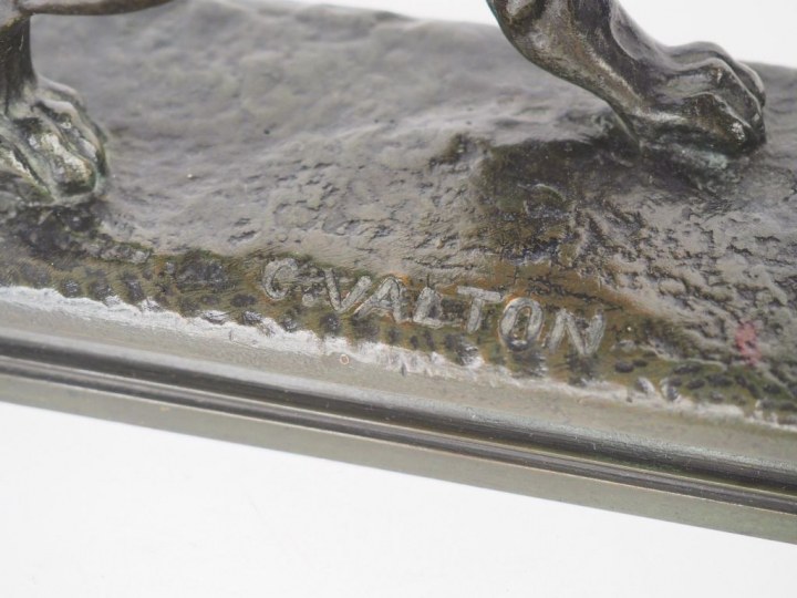 C. VALTON. "Lion marchant et rugissant". Sujet en bronze à patine brun