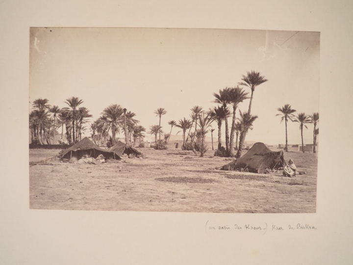 8 différentes photographies en noir et blanc sur l'Algérie : - Jardin 