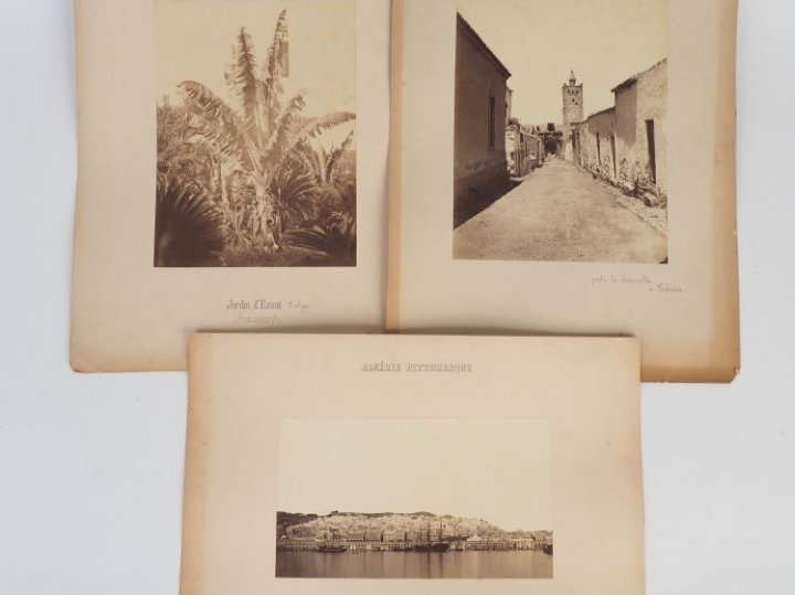 8 différentes photographies en noir et blanc sur l'Algérie : - Jardin 