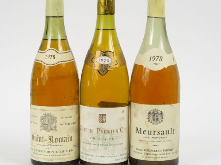 3 BOUTEILLES : 1 CHABLIS 1er CRU 'FOURCHAUME' G. TREMBLAY 1976 - 1 ST 