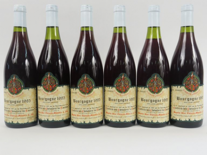 6 BOUTEILLES BOURGOGNE TASTEVINAGE R. THEVENIN - 1985