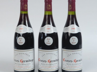 Vente aux enchères 3 BOUTEILLES CROZES HERMITAGE 'LES PONTAIX' TÊTE DE CUVEE FAYOLLE - 19