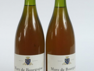 Vente aux enchères 2 BOUTEILLES MARC DE BOURGOGNE P. BOUZEREAU EMONIN 42 ° - SANS CAPSULE