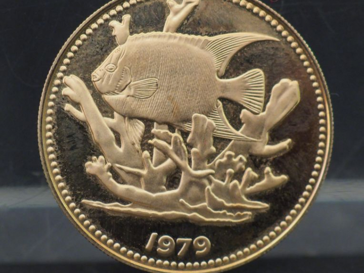 Pièce de 100 dollars Bélize 1979 or 500/1000 Poids : 6,53 g Frais de v