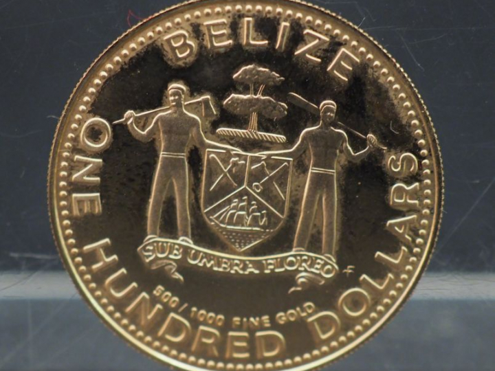 Pièce de 100 dollars Bélize 1979 or 500/1000 Poids : 6,53 g Frais de v