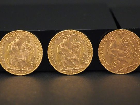 10 pièces de 20 francs or Frais de vente : 5 % TTC