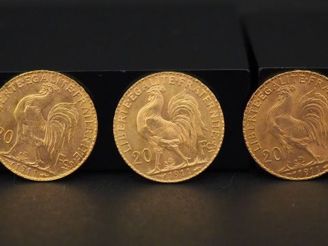 10 pièces de 20 francs or Frais de vente : 5 % TTC
