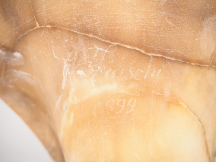 E. FIASCHI. "Jeune fille au voile". Sculpture en marbre et albâtre. Si