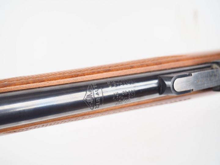 Carabine semi automatique démontable SIDNA calibre 22 LR stutzen modèl