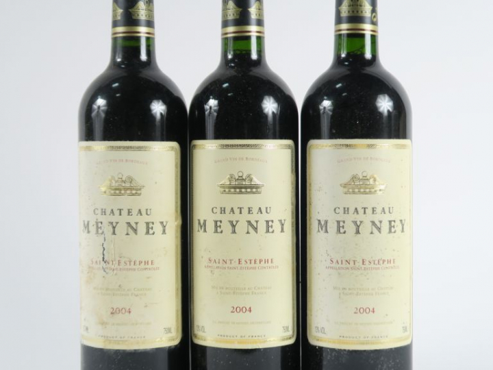 3 BOUTEILLES CHÂTEAU MEYNEY ST ESTEPHE - 2004 