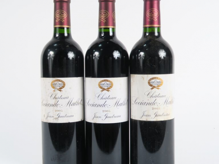 3 BOUTEILLES CHÂTEAU SOCIANDO MALLET HAUT MEDOC - 2005 - ETLA