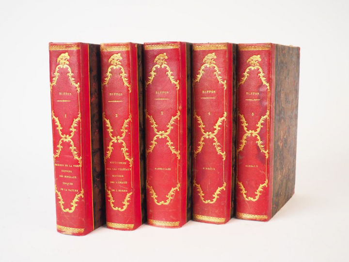 BUFFON. Œuvres complètes, suivies de la classification comparée de Cuv