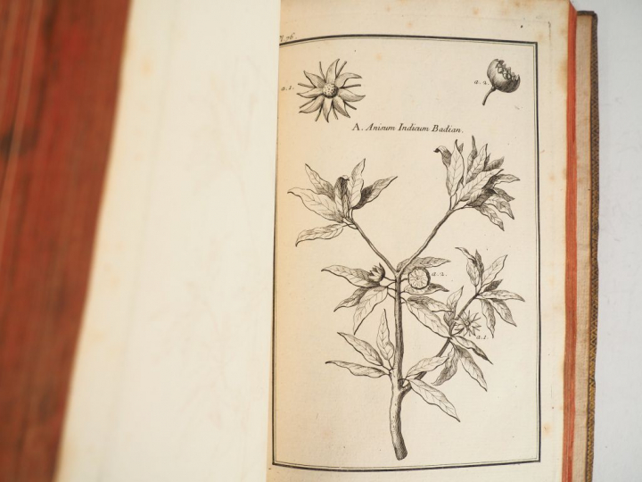 GARSAULT (M. de). Description et usages de sept cents dix-neuf plantes