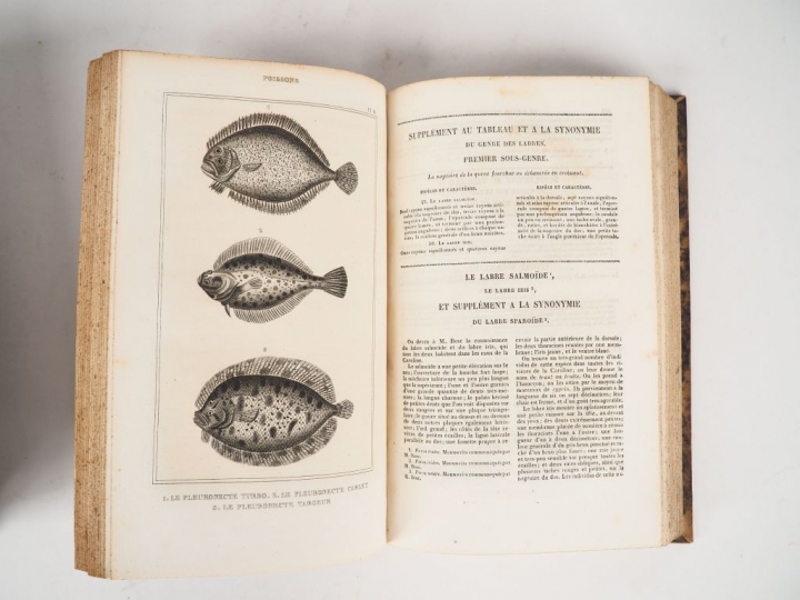 LACEPEDE (Comte de). Œuvres comprenant l'Histoire naturelle des quadru