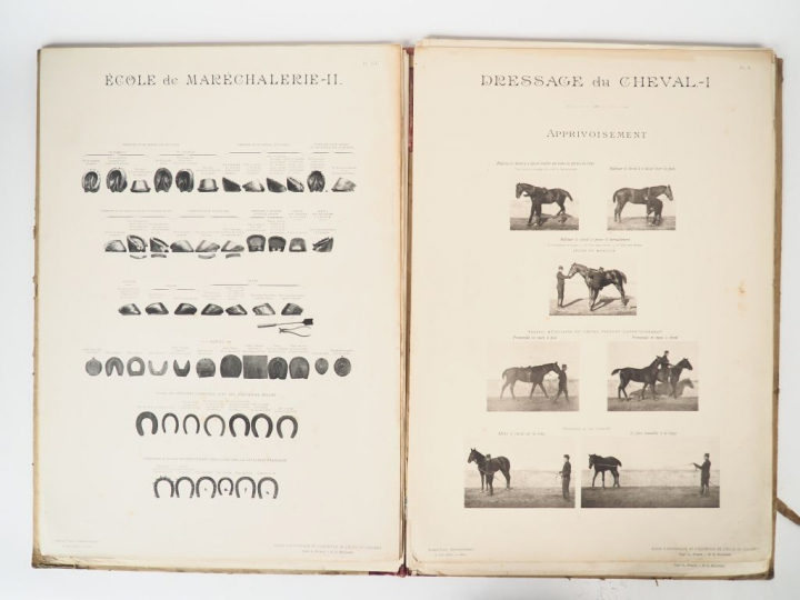 [Equitation]. PICARD (Capitaine)-BOUCHARD (Docteur). Album d'hippiatri