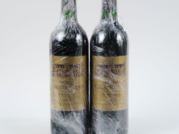 2 BOUTEILLES CHÂTEAU CANTENAC BROWN GCC MARGAUX - 1989