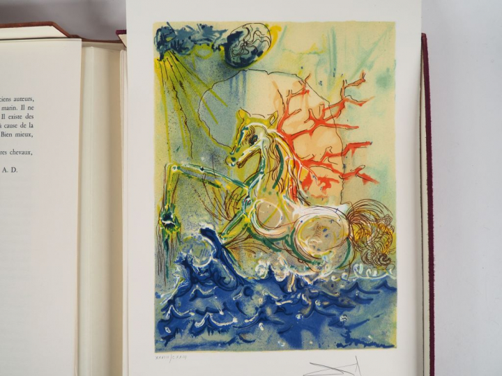 LES CHEVAUX DE DALI.  Textes : Alain Decaux et Léon Zitrone. Préface Y