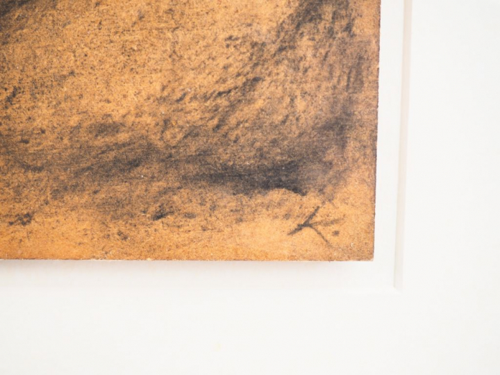 Kiki LACARRIERE. "Solitude de velours". Fusain et pastel sur papier si