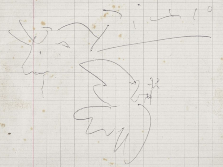 Pablo PICASSO. "Colombe et taureau". Stylo bille bleu sur papier ligné