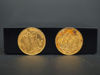 Vente aux enchères Deux pièces de 20 francs or, 1876-A. FRAIS ACHETEURS 5% TTC.