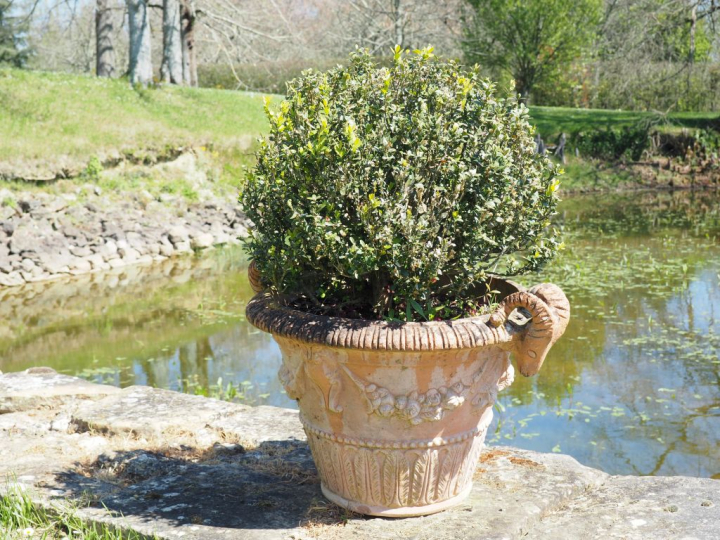 4 jardinières en terre cuite à décor de têtes de béliers en relief. Di