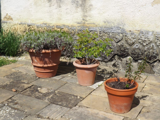 Vente aux enchères Suite de 6 grands pots de fleurs en terre cuite.