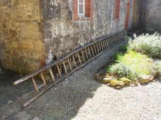 Vente aux enchères Grande échelle rustique en bois H. 8,45 m
