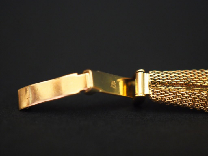 	Montre bracelet bijoux de femme, bracelet et boitier en or jaune. Boi