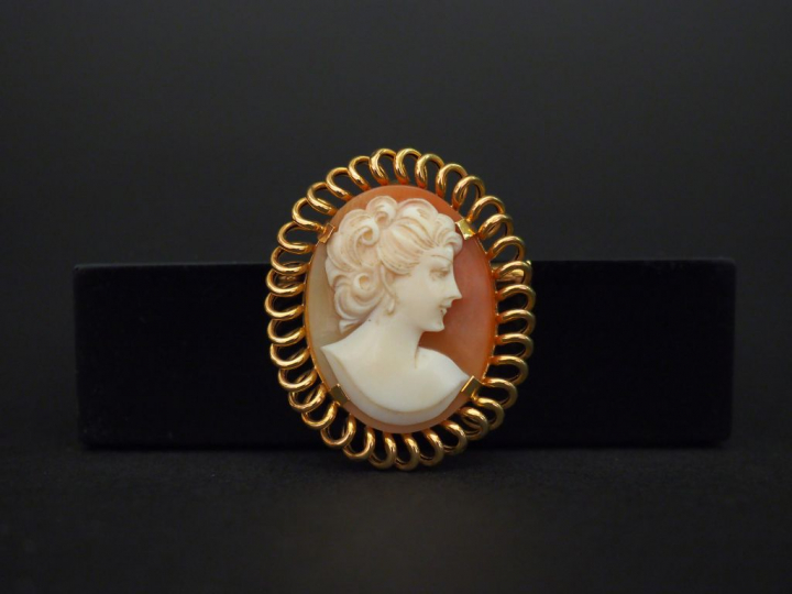 	Broche/pendentif en or jaune, sertie en son centre d’un camée figuran